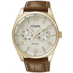 Citizen Herrenuhr Elegant Metropolitan Eco-Drive AO9024-16A Multifunktions