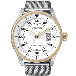 Buy Citizen Men's Watch Aviator Eco-Drive AW1364-54A