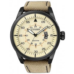Buy Citizen Men's Watch Aviator Eco-Drive AW1365-19P