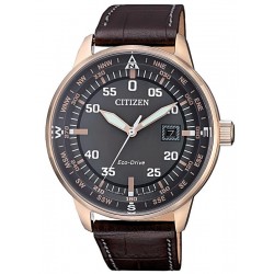 Buy Citizen Men's Watch Aviator Eco-Drive BM7393-16H
