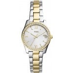 Buy Fossil Ladies Watch Scarlette Mini ES4319 Quartz